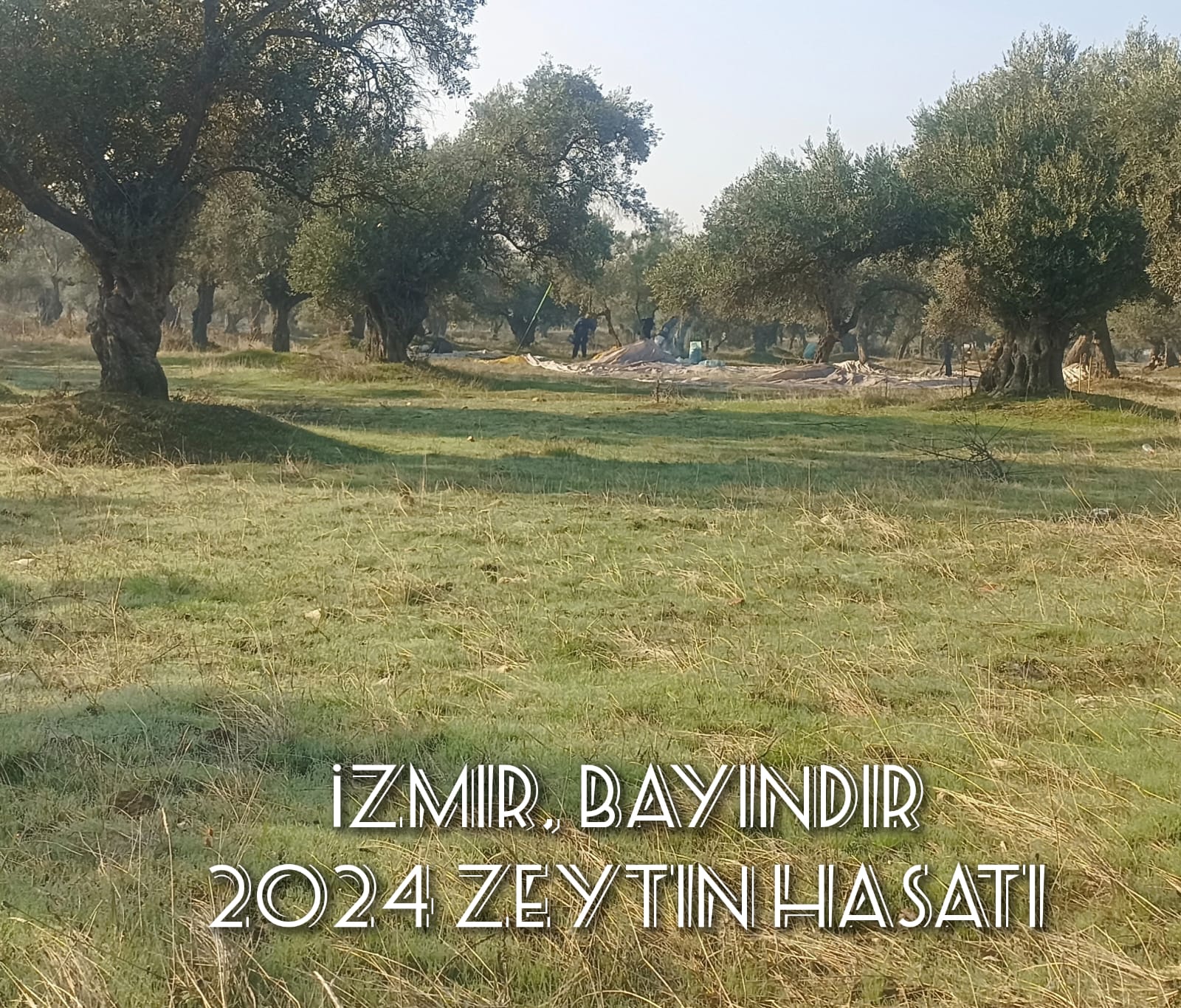 Doğadan Sofranıza Şişe